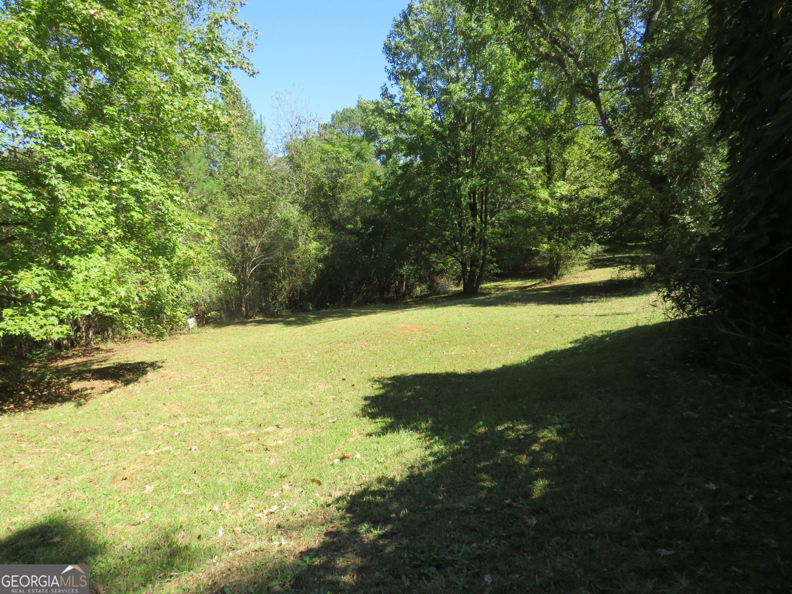402 Thurman Road Stockbridge - 49