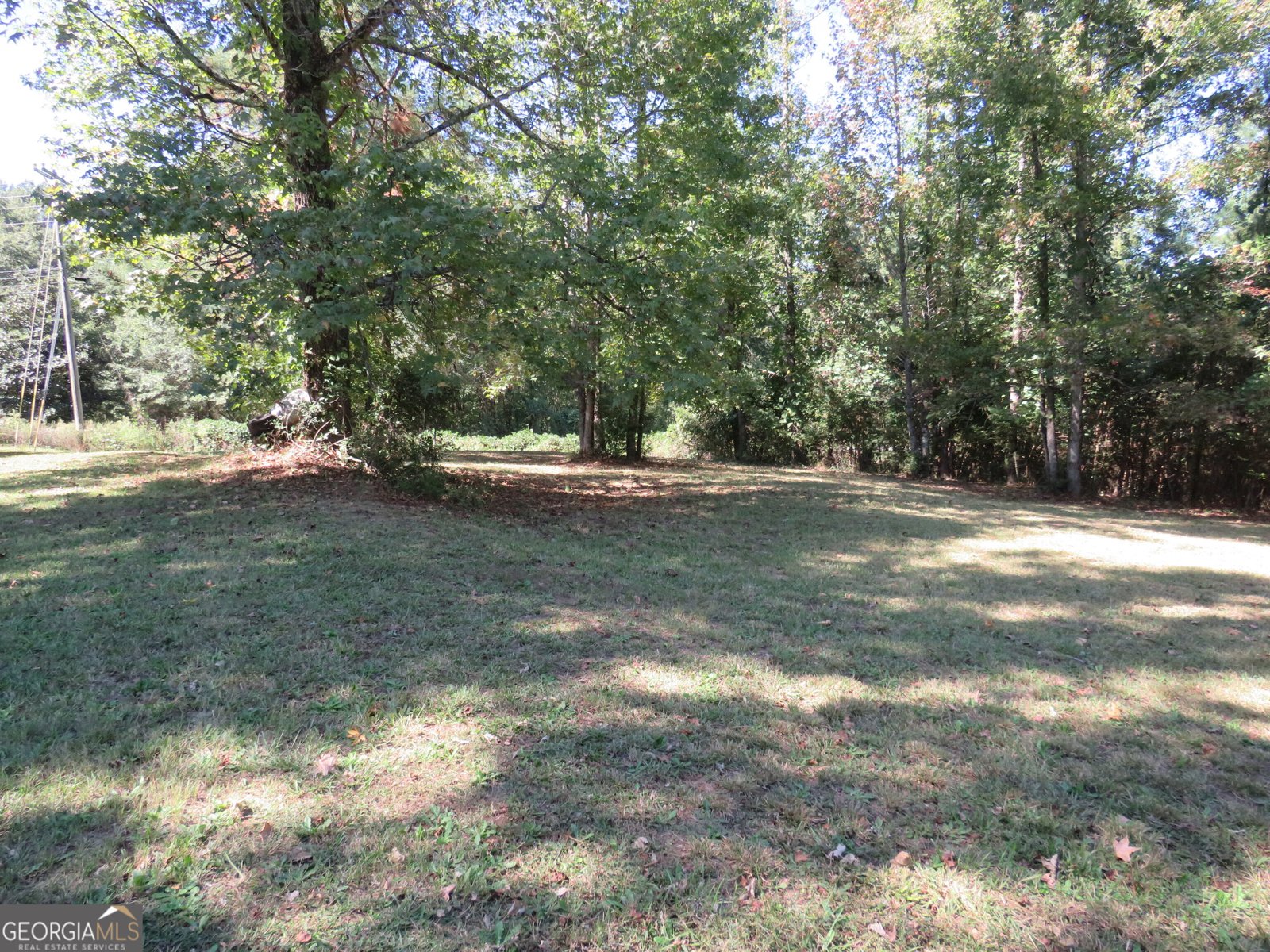 402 Thurman Road Stockbridge - 50