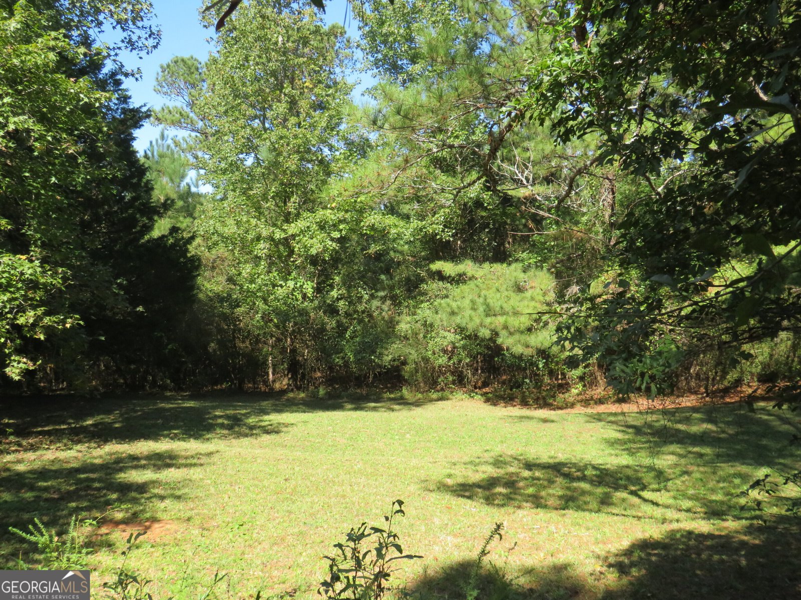 402 Thurman Road Stockbridge - 53