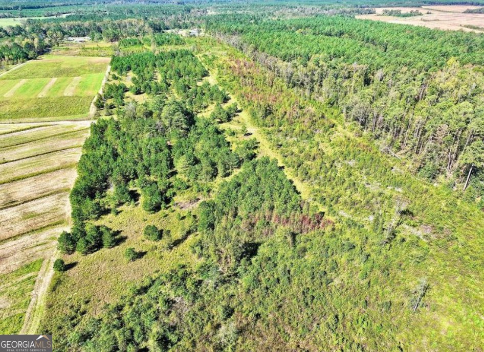 10496 Ga Highway 15 Wrightsville - 13