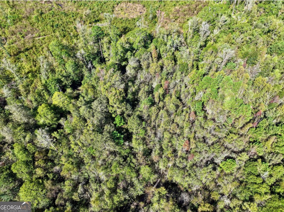 10496 Ga Highway 15 Wrightsville - 15
