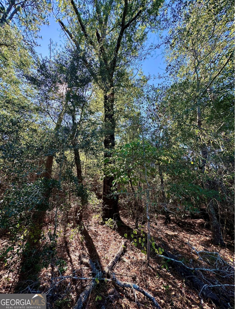 10496 Ga Highway 15 Wrightsville - 18
