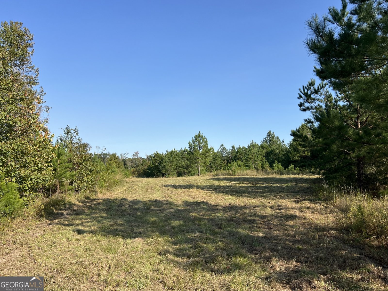 10496 Ga Highway 15 Wrightsville - 20