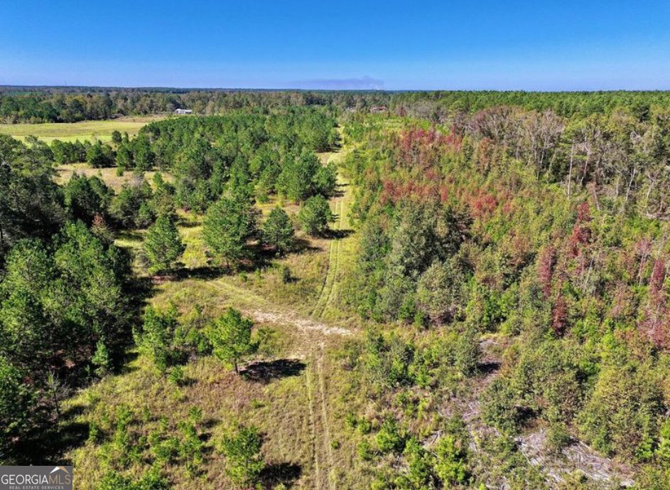 10496 Ga Highway 15 Wrightsville - 8