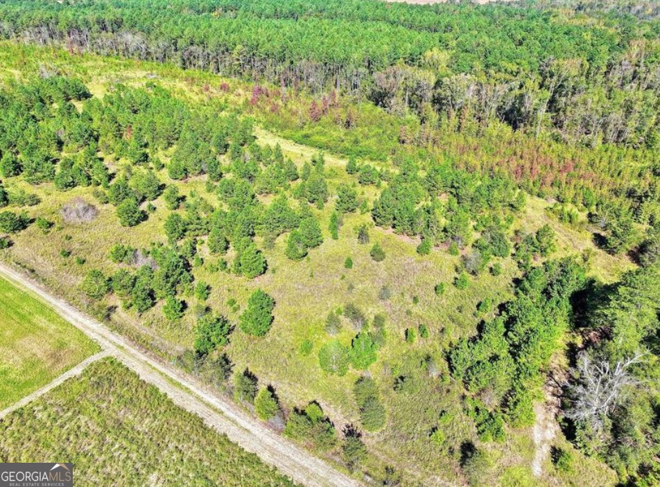 10496 Ga Highway 15 Wrightsville - 9