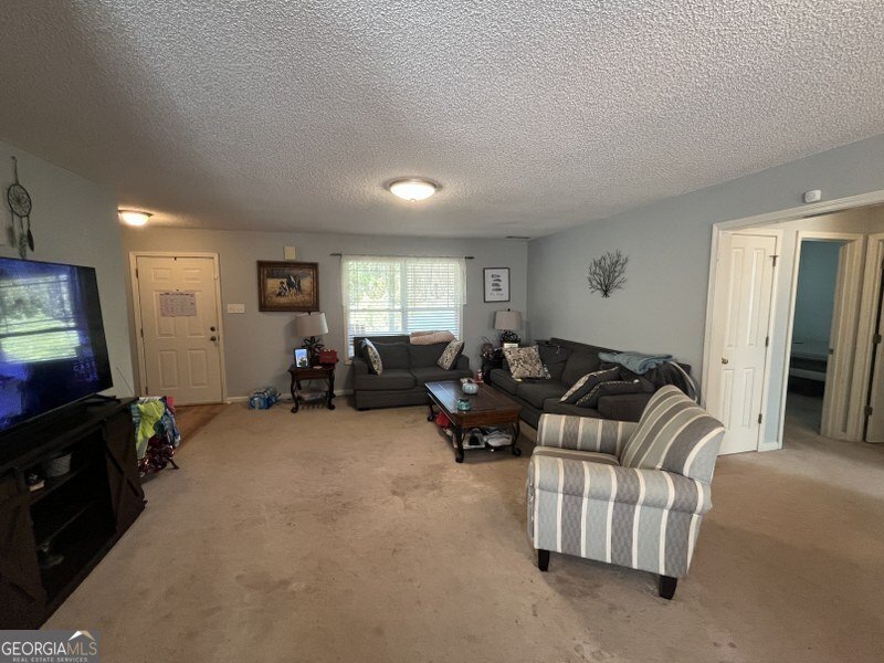 392 I B Howard Road Williamson - 9