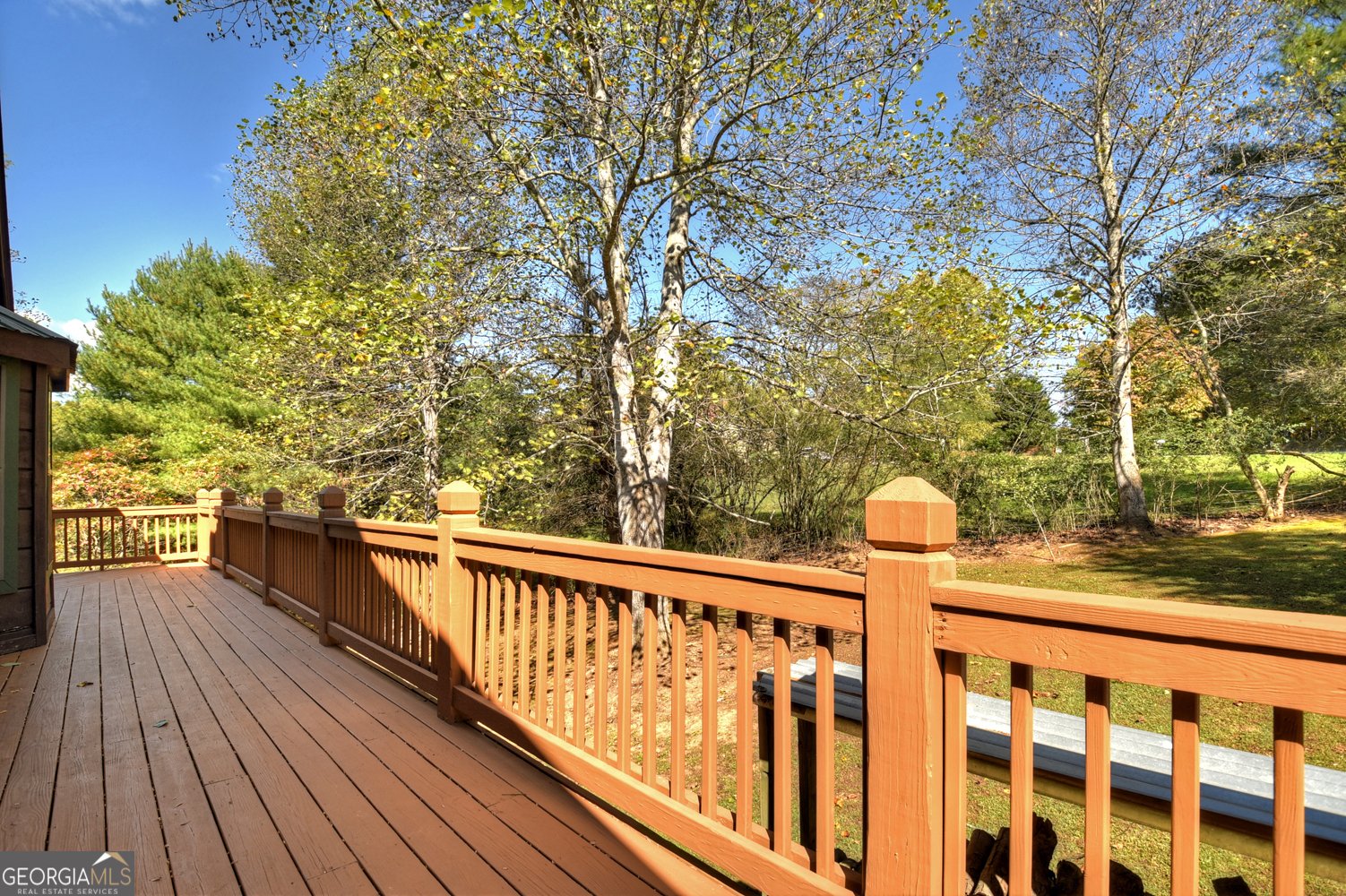 2929 Douthit Road Mineral Bluff - 11
