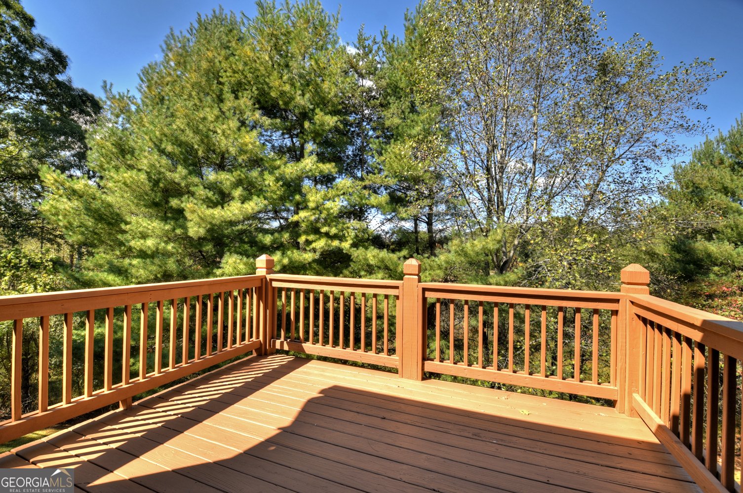 2929 Douthit Road Mineral Bluff - 37