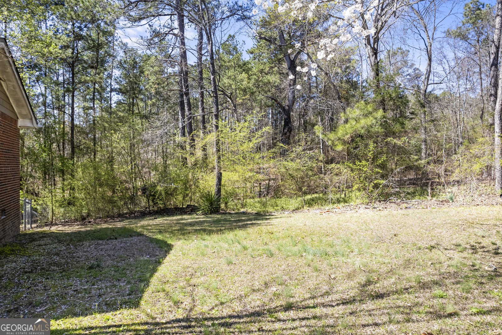 2420 Green Road Loganville - 11