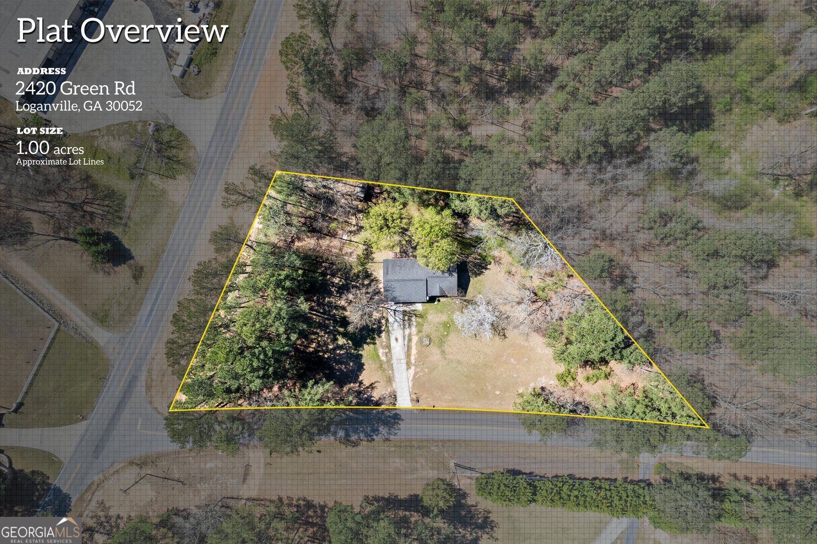 2420 Green Road Loganville - 4