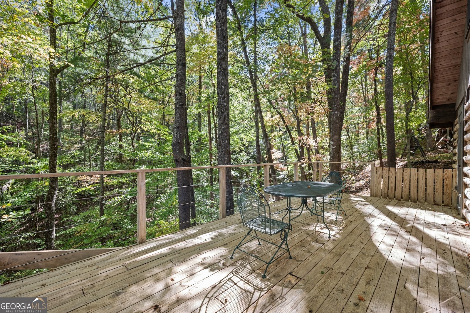 772 Glassy Mountain Road Tiger - 13