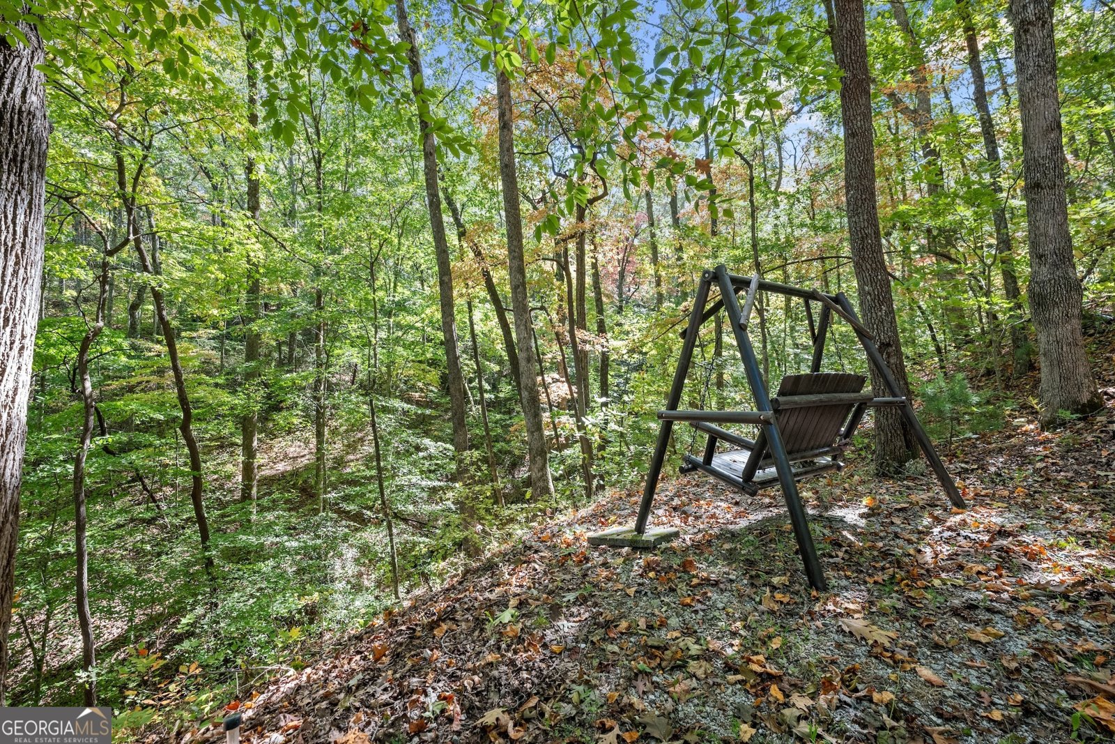 772 Glassy Mountain Road Tiger - 34