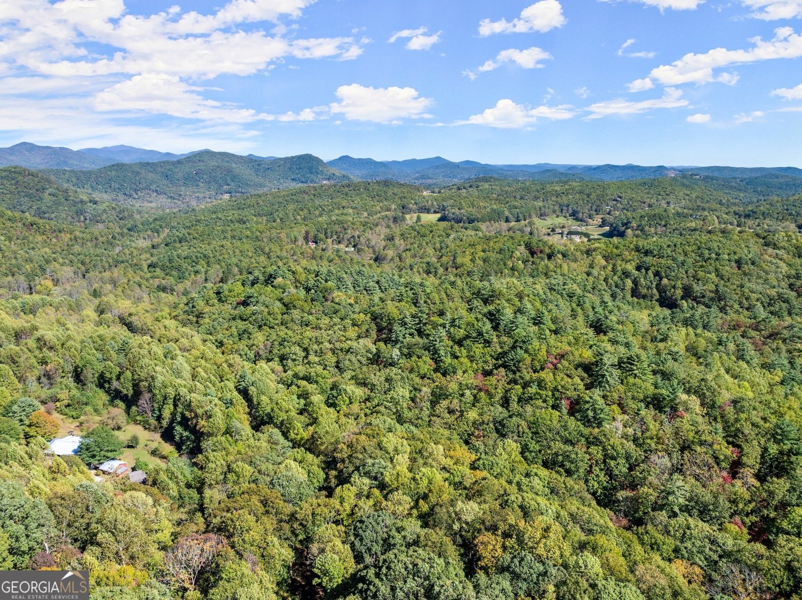 772 Glassy Mountain Road Tiger - 36