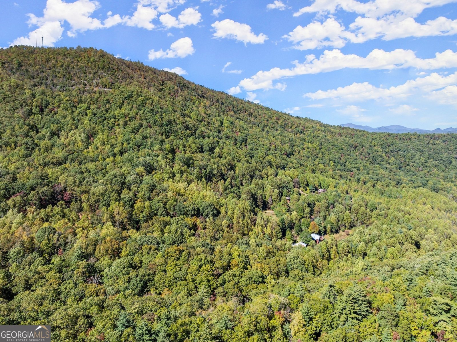 772 Glassy Mountain Road Tiger - 38