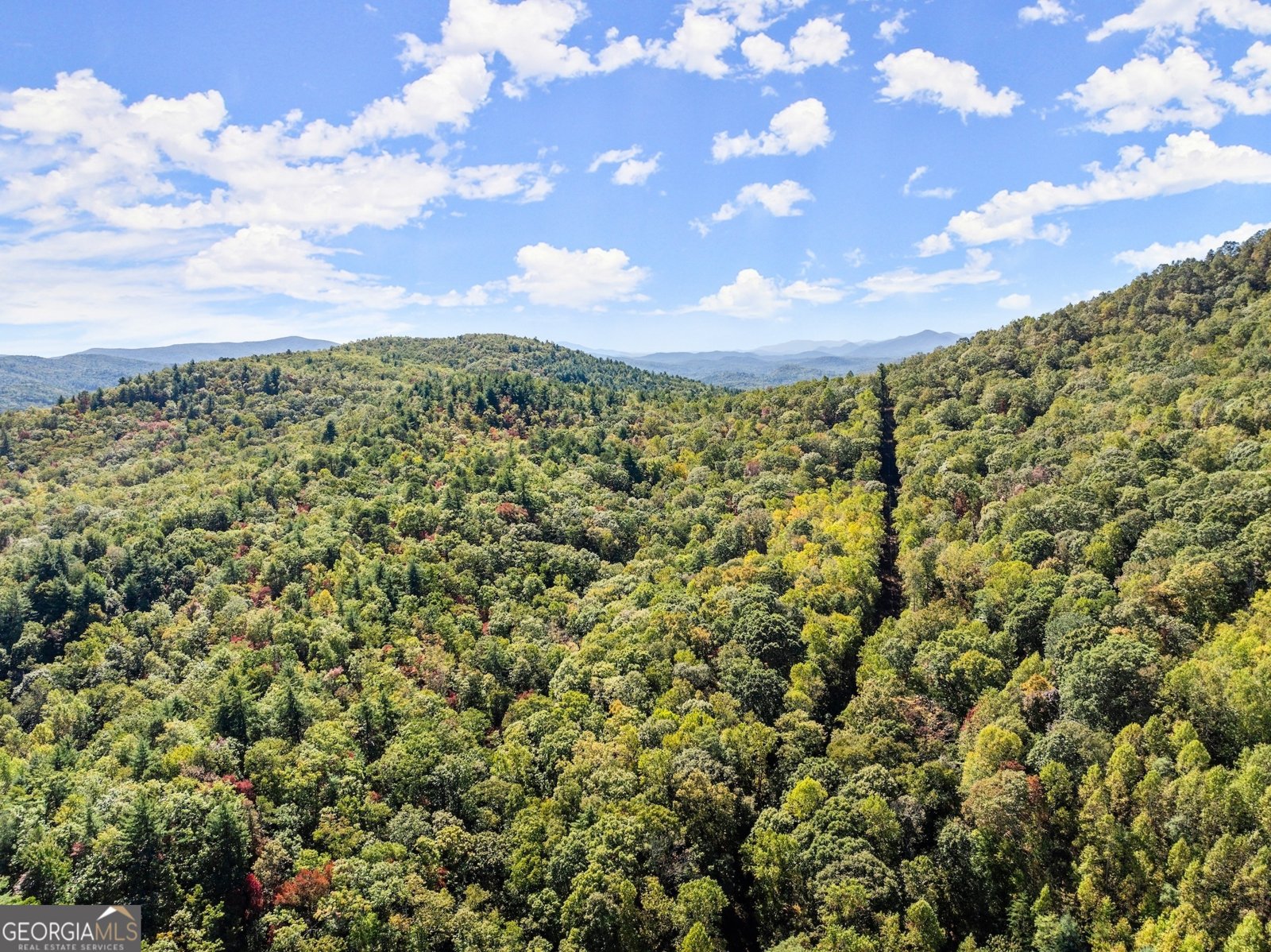 772 Glassy Mountain Road Tiger - 39