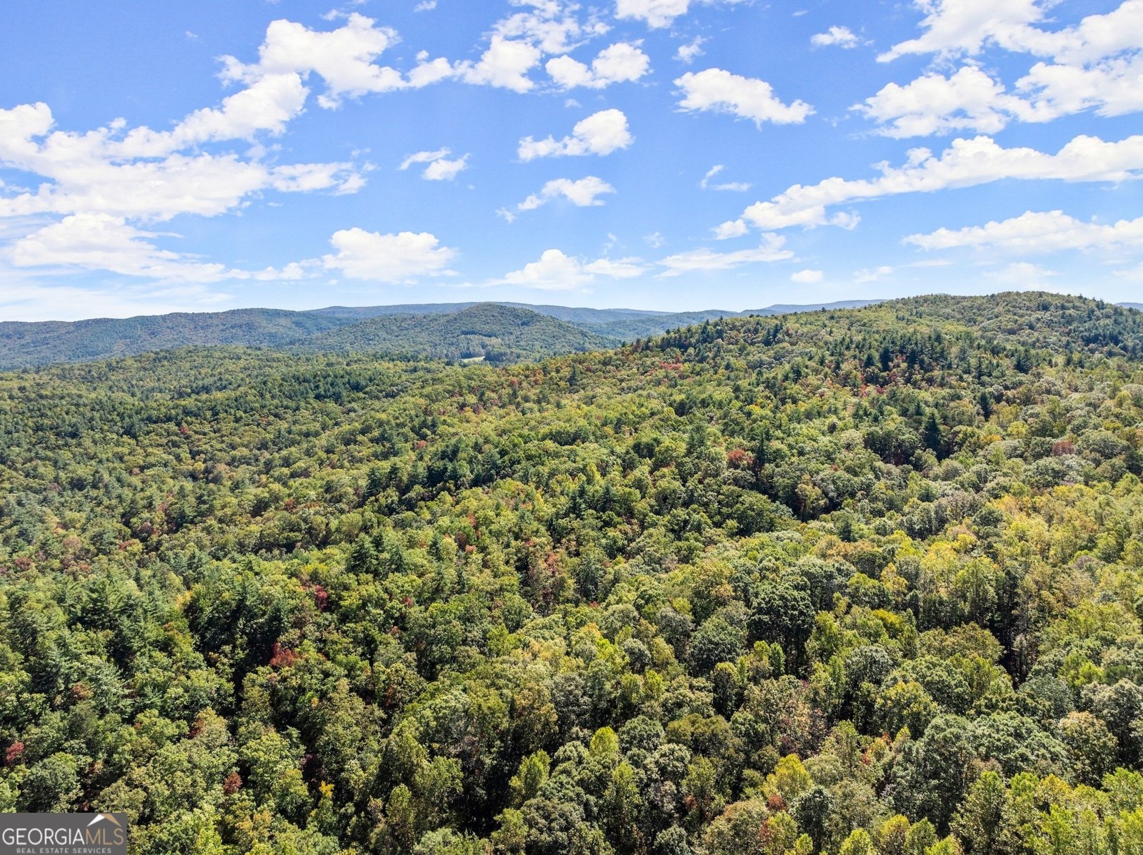 772 Glassy Mountain Road Tiger - 40