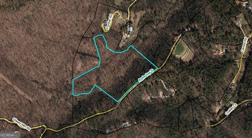 772 Glassy Mountain Road Tiger - 41