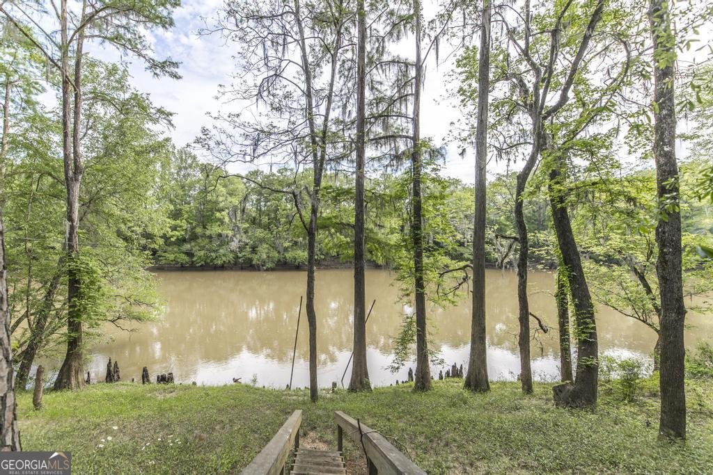 311 Riverside Drive Hawkinsville - 2