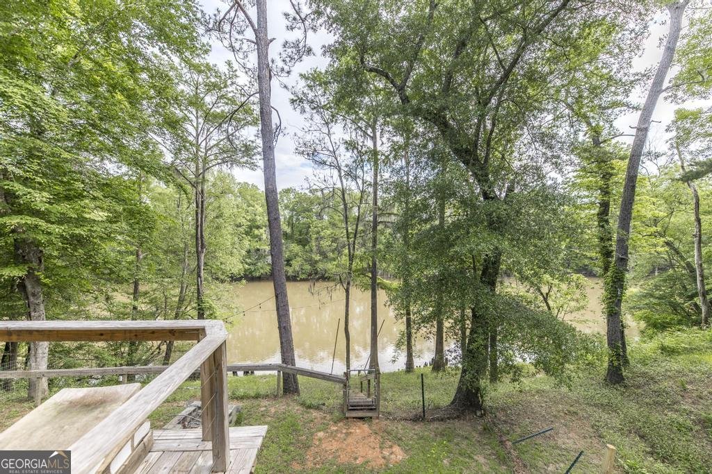 311 Riverside Drive Hawkinsville - 8