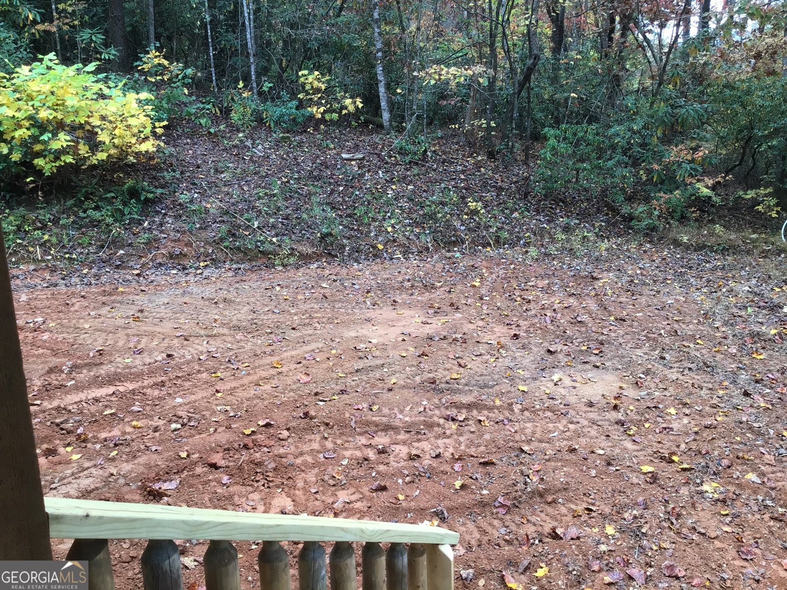 66 Precision Clayton - 9