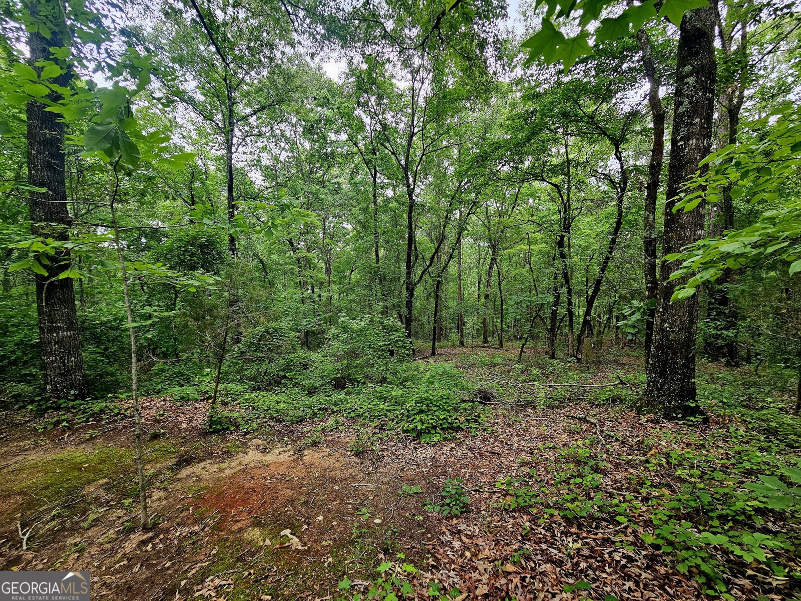 4153 Glenn Road Franklin - 41