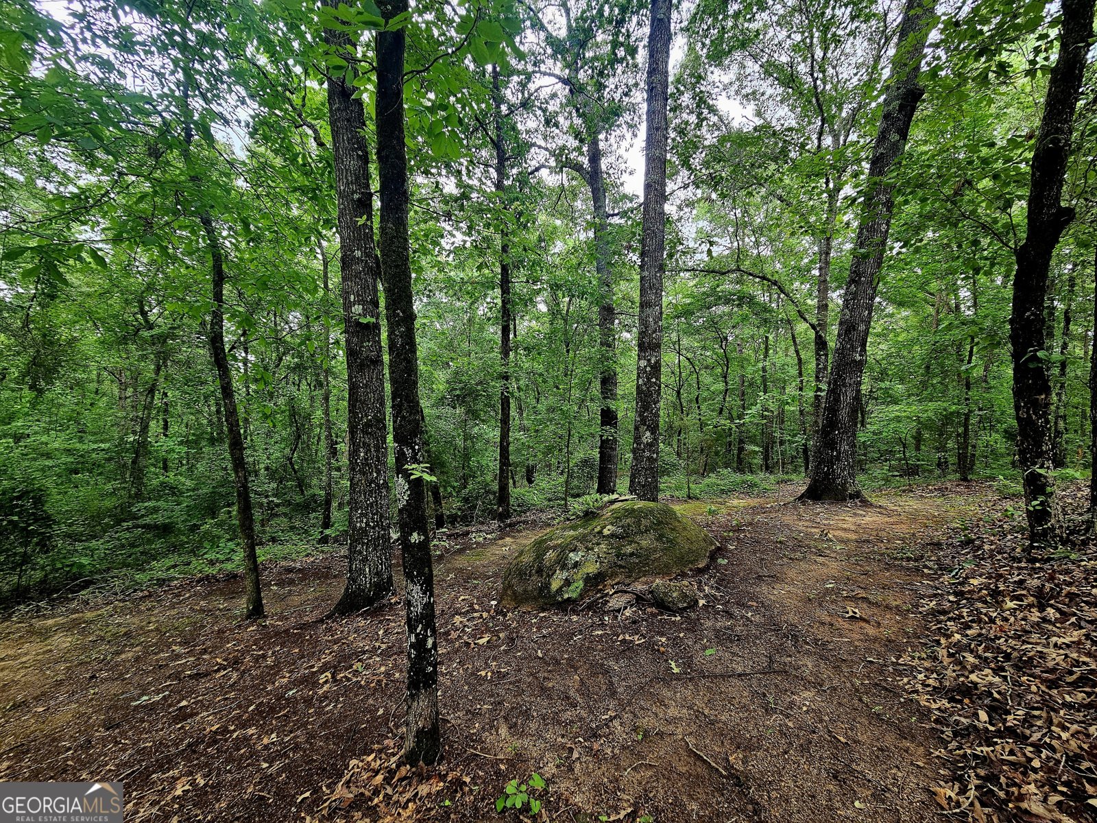 4153 Glenn Road Franklin - 42