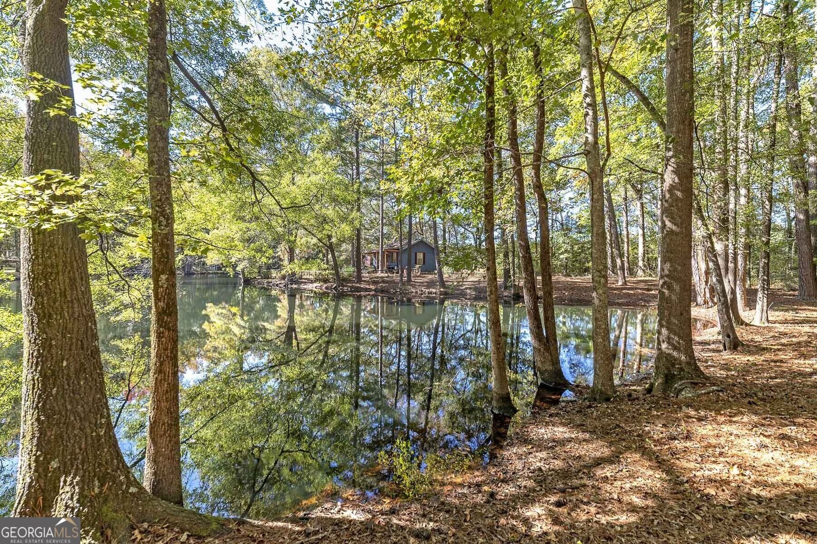 12471 Ga Highway 109 Meansville - 52