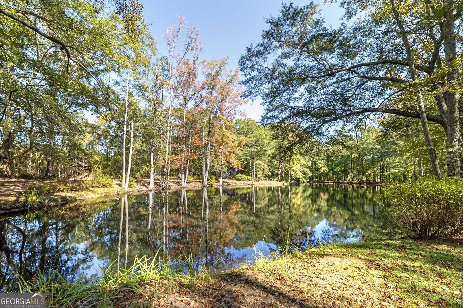 12471 Ga Highway 109 Meansville - 61