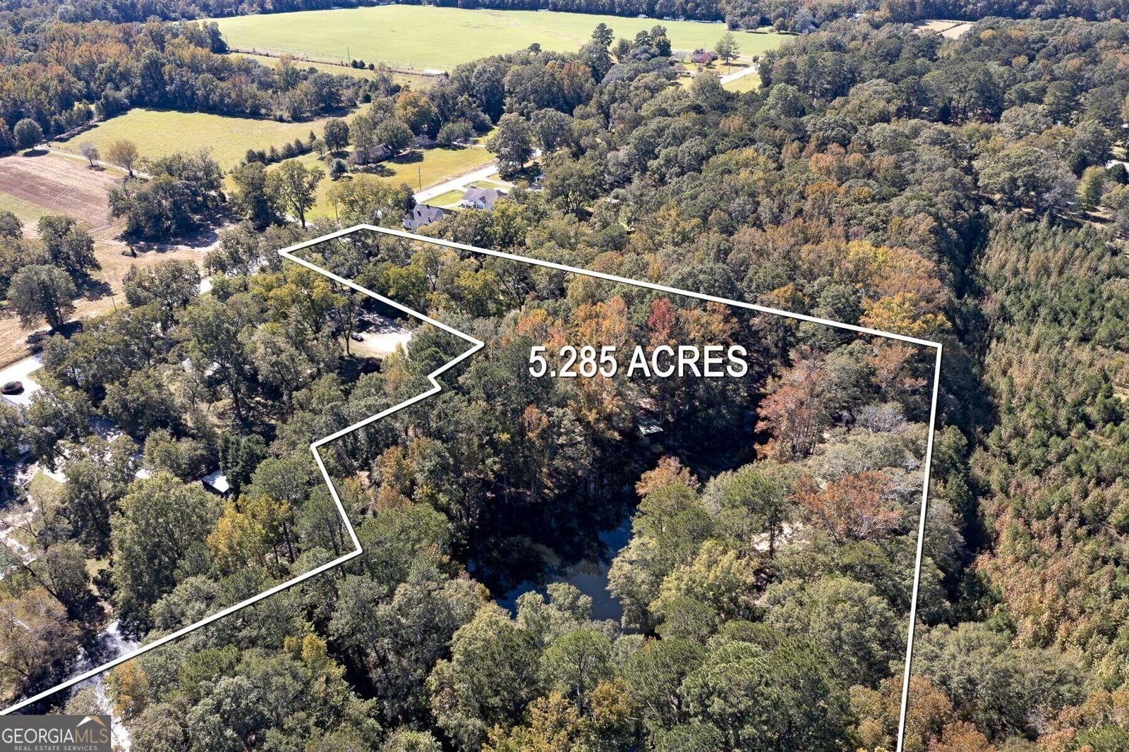 12471 Ga Highway 109 Meansville - 72