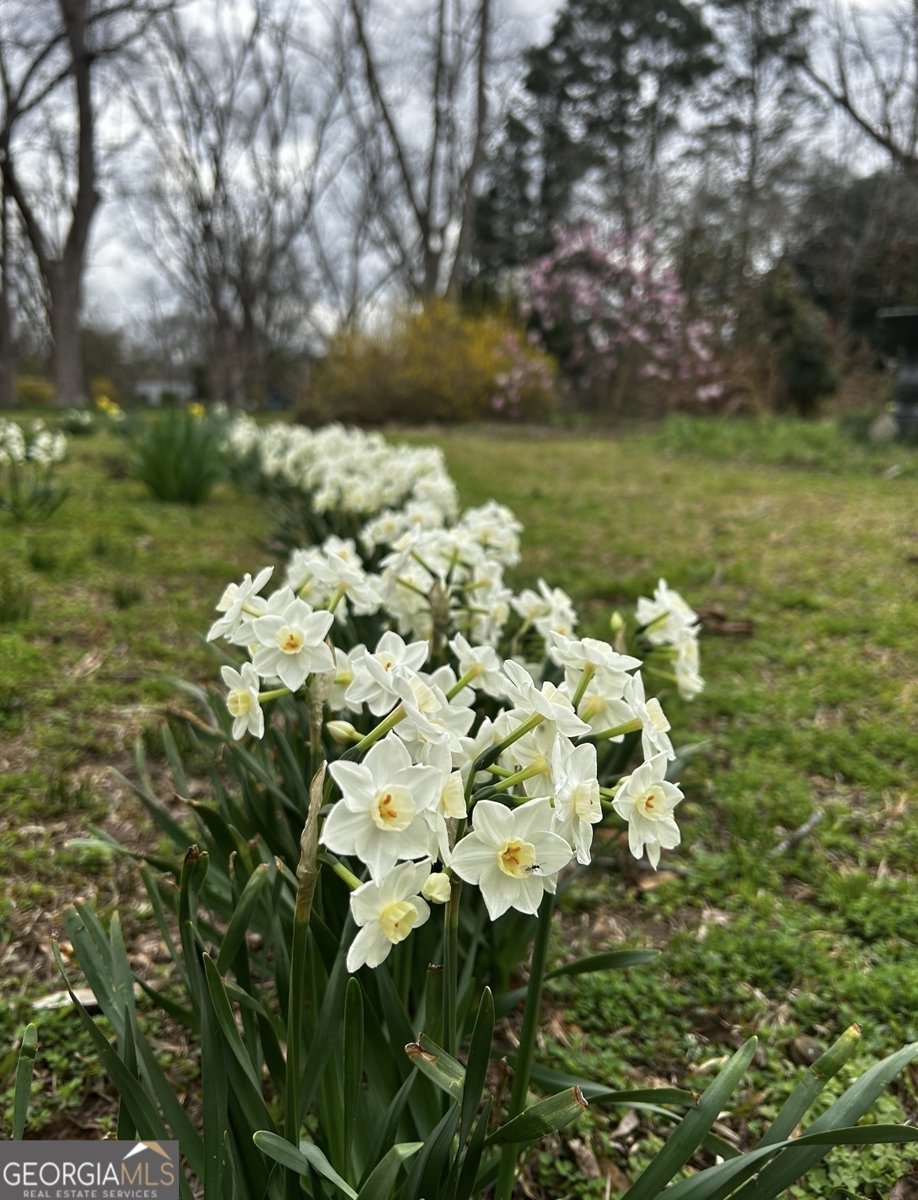 12471 Ga Highway 109 Meansville - 79