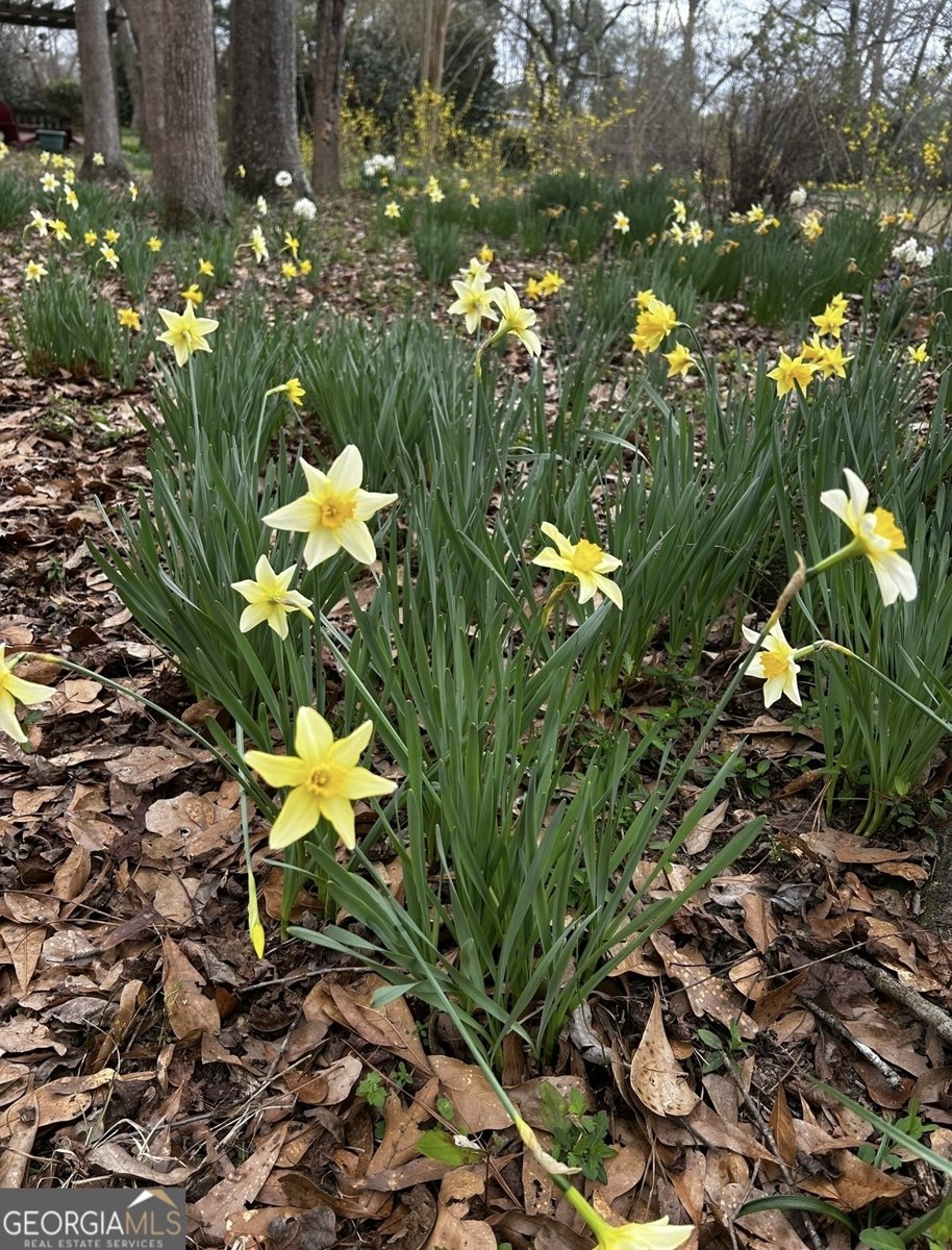 12471 Ga Highway 109 Meansville - 80