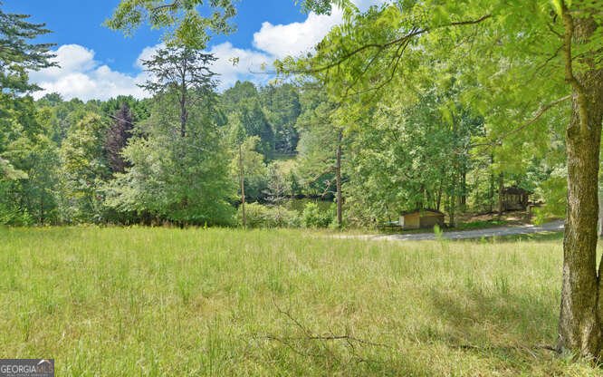 915 Hidden Lake Road Blairsville - 73