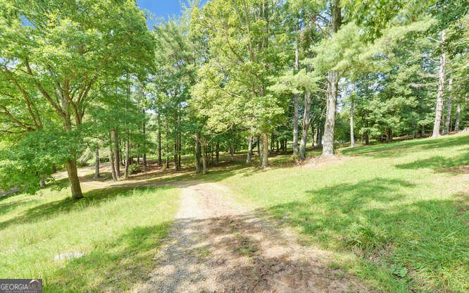915 Hidden Lake Road Blairsville - 75