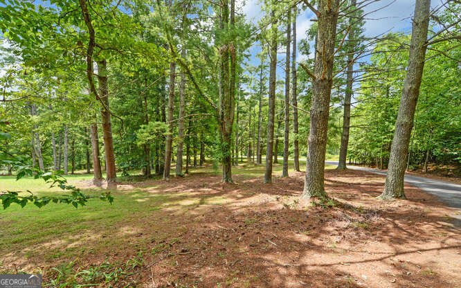 915 Hidden Lake Road Blairsville - 76