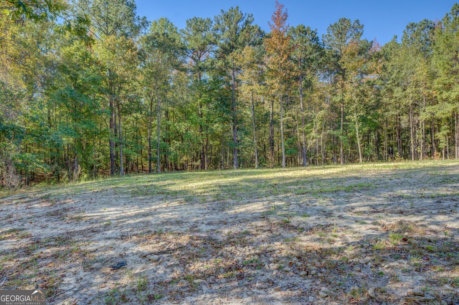 700 Biltmore Road Mansfield - 17