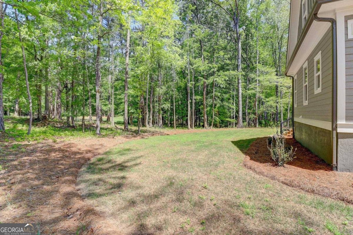1031 Osprey Lane Greensboro - 58