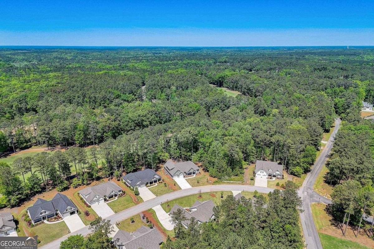 1031 Osprey Lane Greensboro - 62