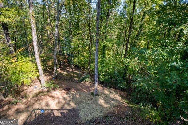 3112 Lake Ranch Drive Gainesville - 42