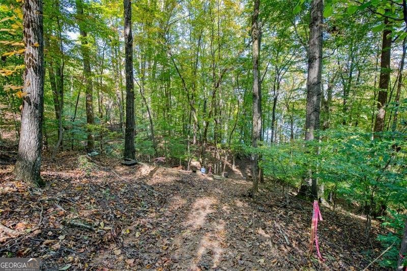 3112 Lake Ranch Drive Gainesville - 47