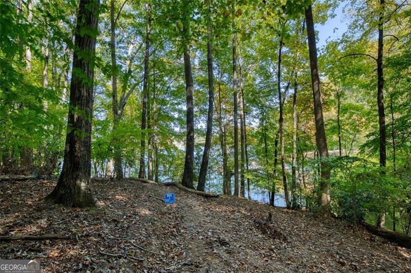 3112 Lake Ranch Drive Gainesville - 48