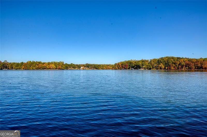 3112 Lake Ranch Drive Gainesville - 52