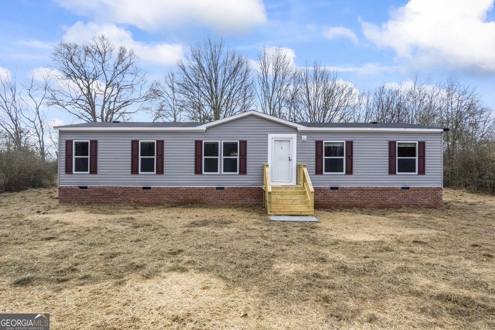101 Marigold Drive Carnesville - 1