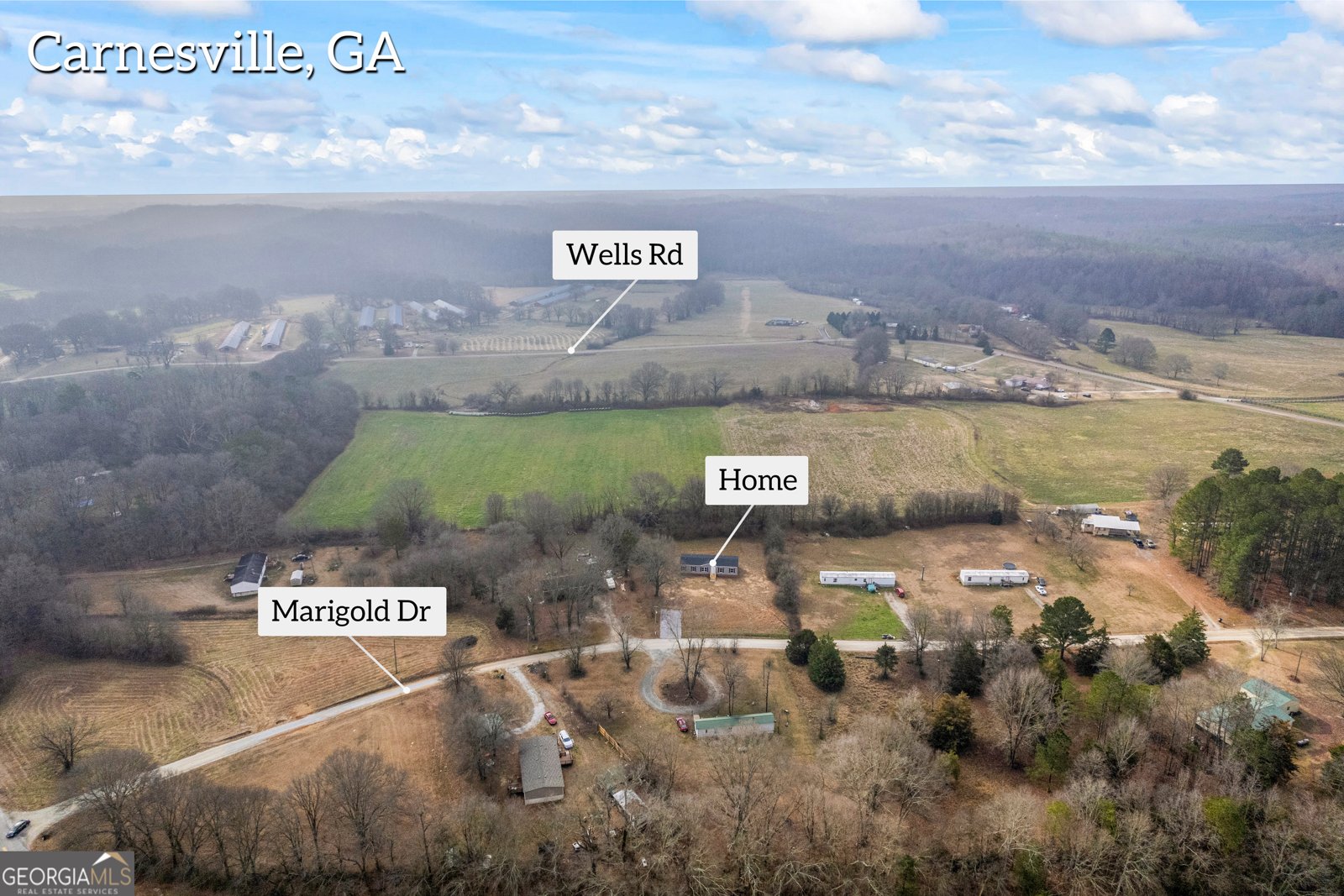 101 Marigold Drive Carnesville - 34