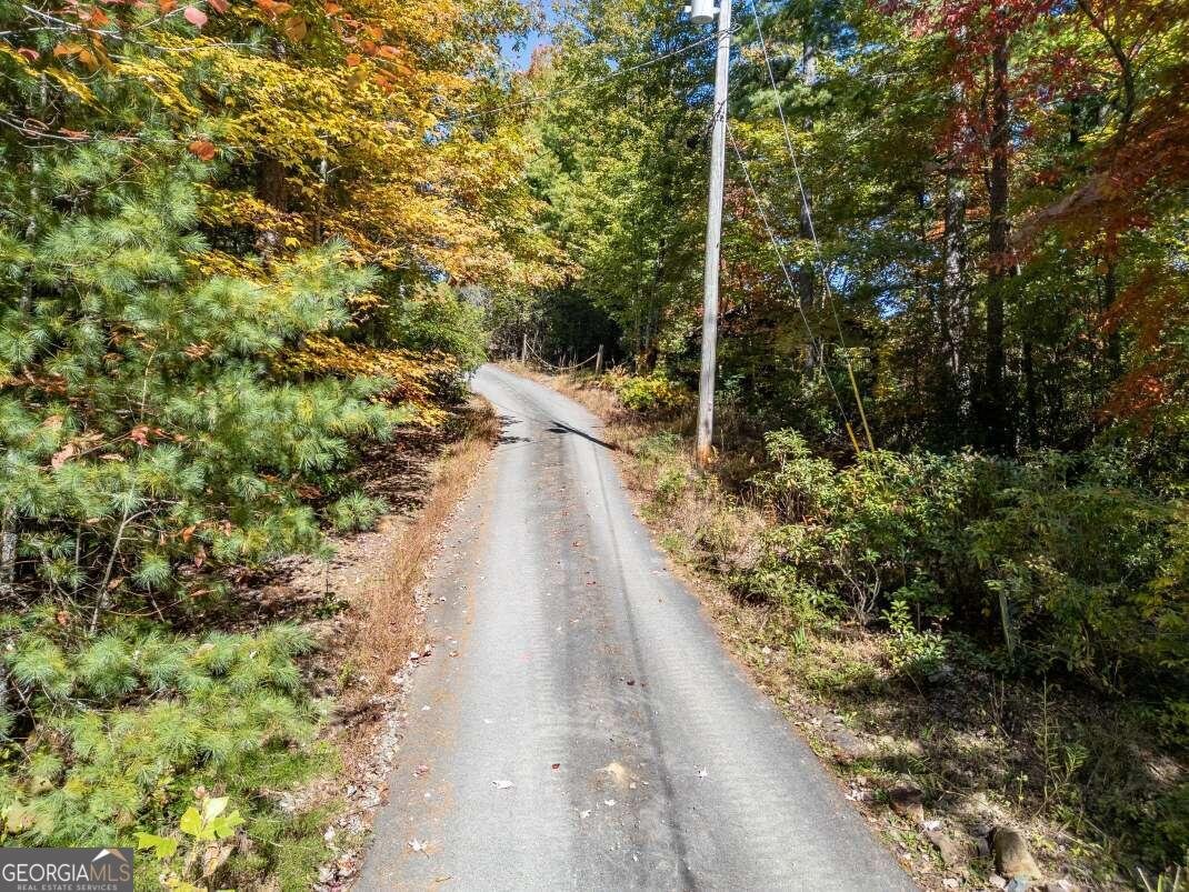 166 Mountain View Drive Cherry Log - 30