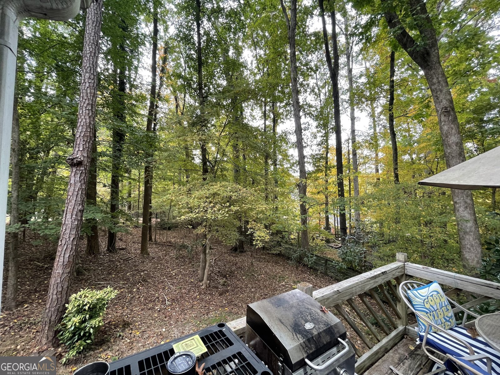 220 Spalding Lake Place Atlanta - 28
