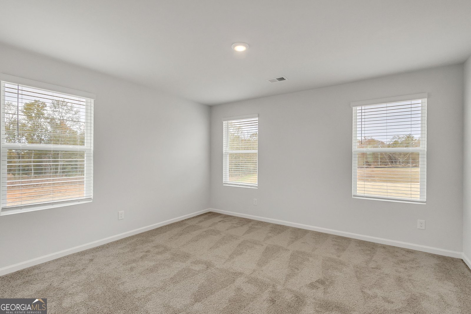 209 Weldon Road McDonough - 13