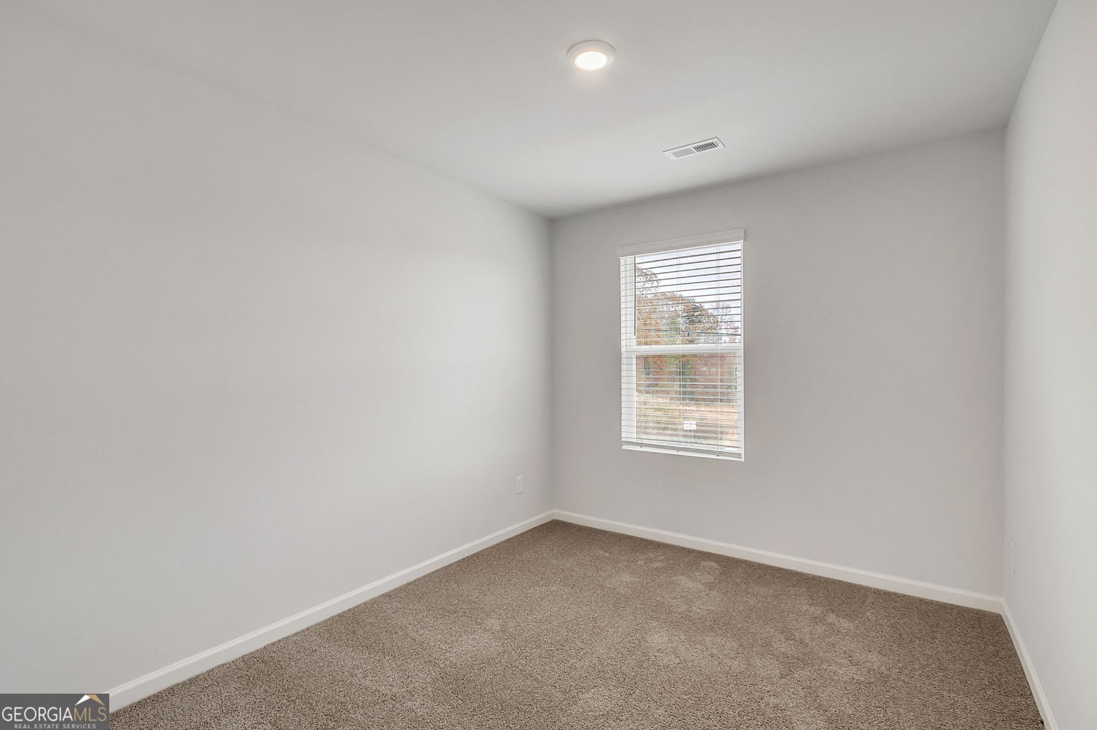 209 Weldon Road McDonough - 20