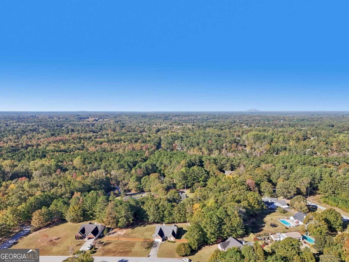 4011 Lafayette Way Loganville - 81