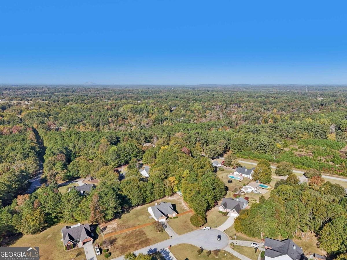 4011 Lafayette Way Loganville - 82