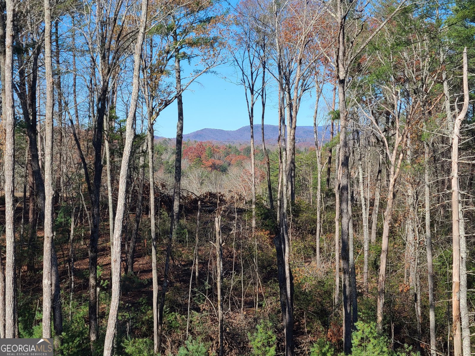1713 Old Northcutt Road Ellijay - 28